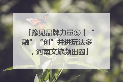 豫见品牌力量⑤丨“融”“创”并进玩法多，河南文旅频出圈