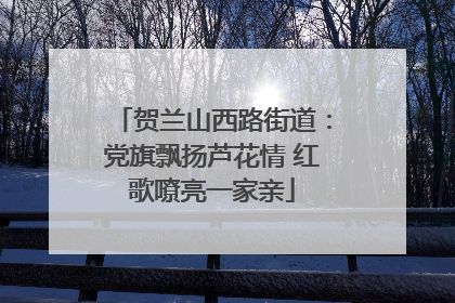 贺兰山西路街道：党旗飘扬芦花情 红歌嘹亮一家亲