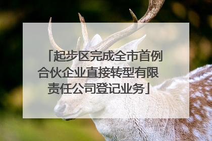 起步区完成全市首例合伙企业直接转型有限责任公司登记业务
