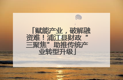 赋能产业，破解融资难！浦江县财政“三聚焦”助推传统产业转型升级