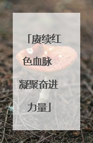 赓续红色血脉 凝聚奋进力量