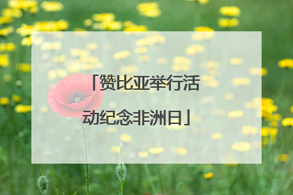 赞比亚举行活动纪念非洲日