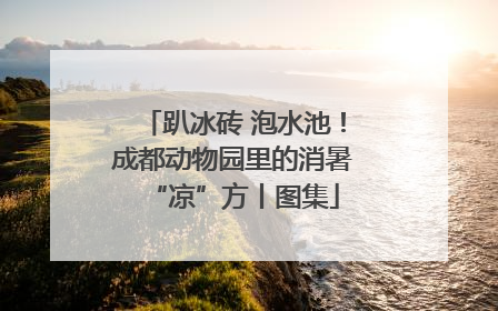 趴冰砖 泡水池！成都动物园里的消暑“凉”方丨图集