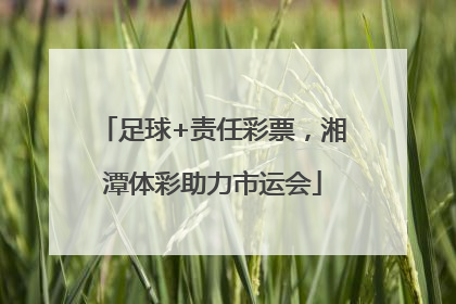 足球+责任彩票，湘潭体彩助力市运会