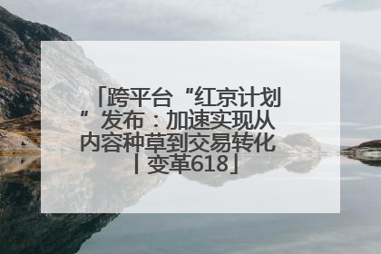 跨平台“红京计划”发布：加速实现从内容种草到交易转化丨变革618