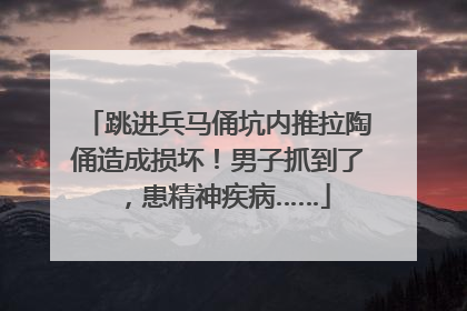 跳进兵马俑坑内推拉陶俑造成损坏！男子抓到了，患精神疾病……