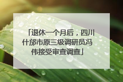 退休一个月后，四川什邡市原三级调研员冯伟接受审查调查