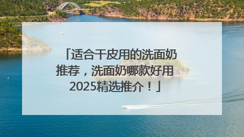 适合干皮用的洗面奶推荐，洗面奶哪款好用2025精选推介！