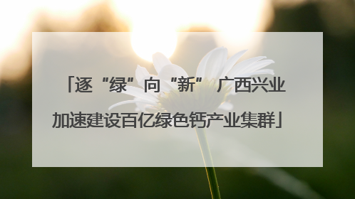 逐“绿”向“新” 广西兴业加速建设百亿绿色钙产业集群