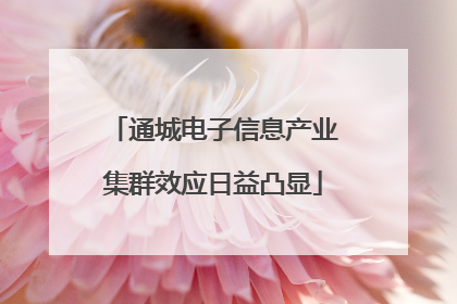 通城电子信息产业集群效应日益凸显