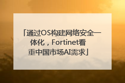 通过OS构建网络安全一体化，Fortinet看重中国市场AI需求