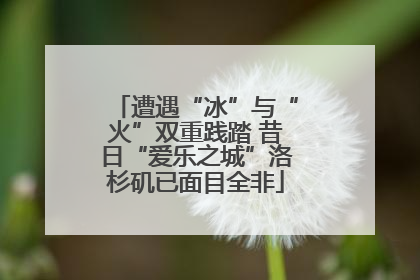 遭遇“冰”与“火”双重践踏 昔日“爱乐之城”洛杉矶已面目全非