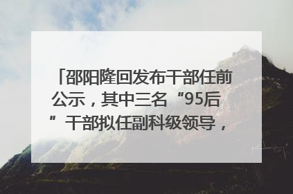 邵阳隆回发布干部任前公示，其中三名“95后”干部拟任副科级领导，均系硕士选调生