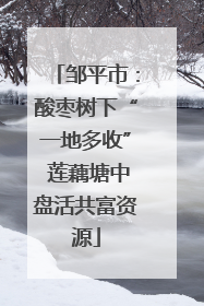 邹平市：酸枣树下“一地多收” 莲藕塘中盘活共富资源