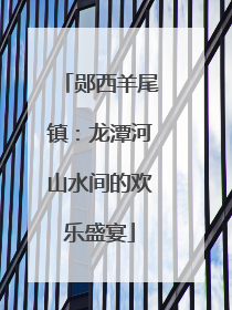 郧西羊尾镇：龙潭河山水间的欢乐盛宴