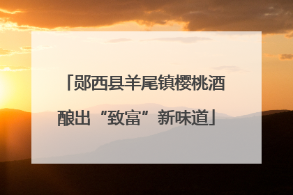 郧西县羊尾镇樱桃酒酿出“致富”新味道