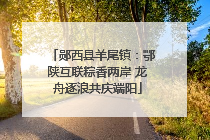 郧西县羊尾镇：鄂陕互联粽香两岸 龙舟逐浪共庆端阳