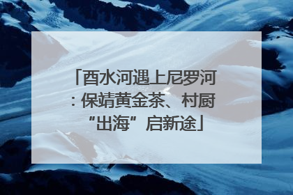 酉水河遇上尼罗河：保靖黄金茶、村厨“出海”启新途