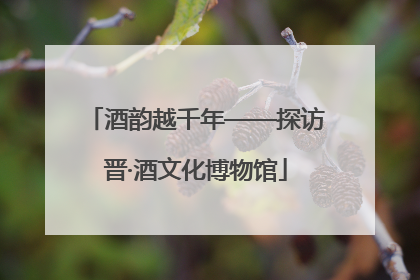 酒韵越千年——探访晋·酒文化博物馆