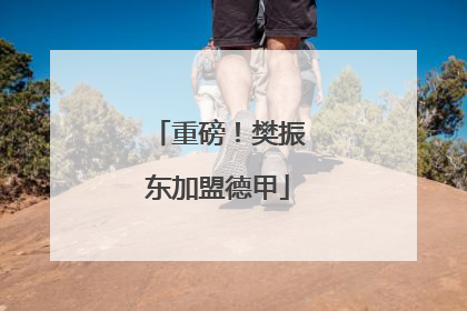 重磅！樊振东加盟德甲