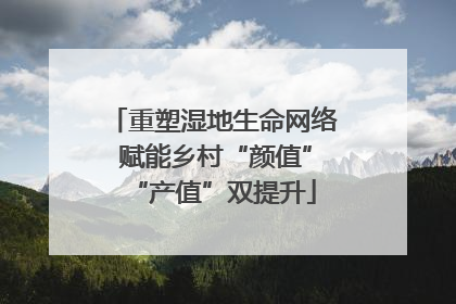 重塑湿地生命网络 赋能乡村“颜值”“产值”双提升