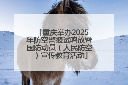 重庆举办2025年防空警报试鸣放暨国防动员（人民防空）宣传教育活动