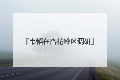 韦韬在杏花岭区调研