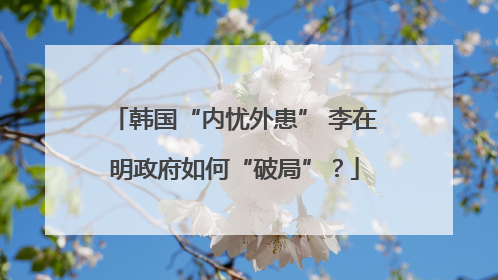 韩国“内忧外患” 李在明政府如何“破局”？