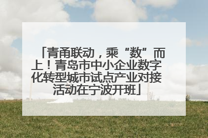青甬联动，乘“数”而上！青岛市中小企业数字化转型城市试点产业对接活动在宁波开班