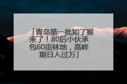青岛第一批知了猴来了！80后小伙承包60亩林地，高峰期日入过万