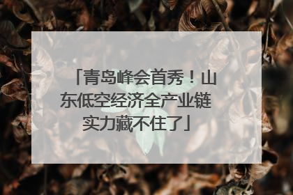 青岛峰会首秀！山东低空经济全产业链实力藏不住了
