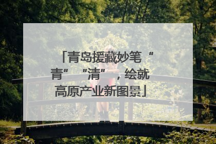 青岛援藏妙笔“青”“清”，绘就高原产业新图景