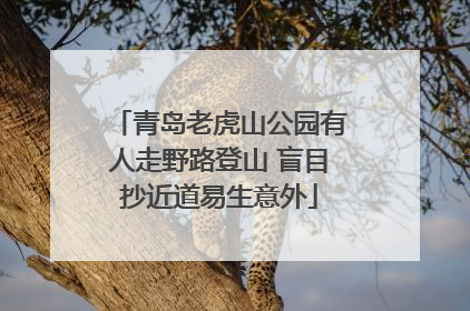 青岛老虎山公园有人走野路登山 盲目抄近道易生意外