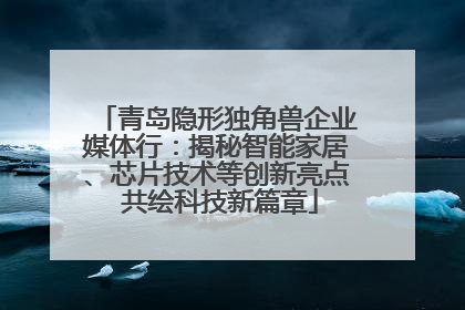 青岛隐形独角兽企业媒体行：揭秘智能家居、芯片技术等创新亮点 共绘科技新篇章