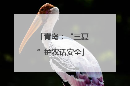 青岛：“三夏”护农话安全
