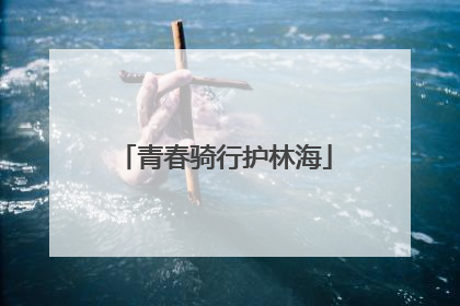青春骑行护林海