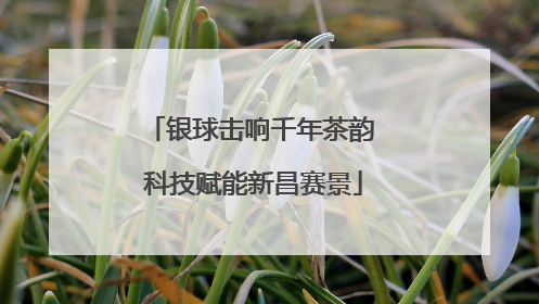 银球击响千年茶韵 科技赋能新昌赛景