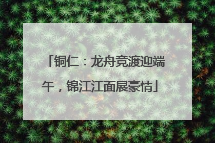 铜仁：龙舟竞渡迎端午，锦江江面展豪情