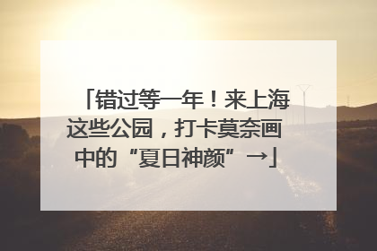 错过等一年！来上海这些公园，打卡莫奈画中的“夏日神颜”→
