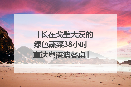 长在戈壁大漠的绿色蔬菜38小时直达粤港澳餐桌