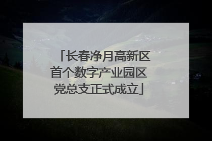 长春净月高新区首个数字产业园区党总支正式成立