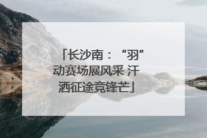 长沙南：“羽”动赛场展风采 汗洒征途竞锋芒