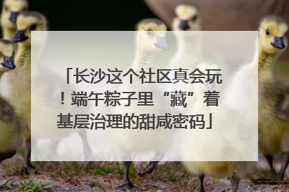 长沙这个社区真会玩！端午粽子里“藏”着基层治理的甜咸密码