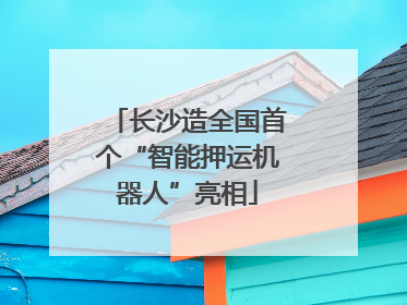 长沙造全国首个“智能押运机器人”亮相