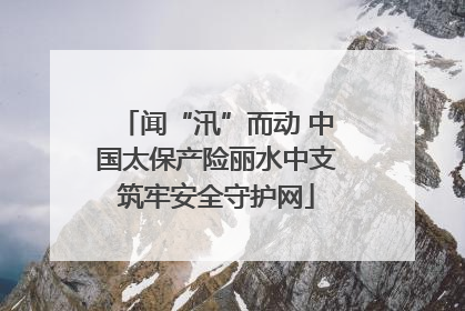 闻“汛”而动 中国太保产险丽水中支筑牢安全守护网