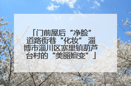 门前屋后“净脸” 道路街巷“化妆” 淄博市淄川区寨里镇葫芦台村的“美丽嬗变”