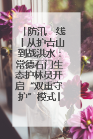 防汛一线丨从护青山到战洪水：常德石门生态护林员开启“双重守护”模式