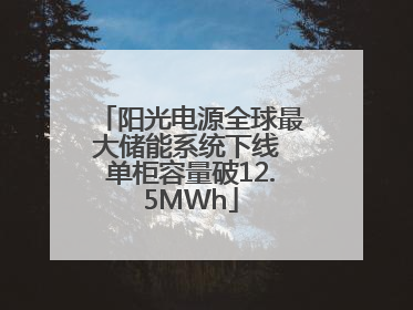 阳光电源全球最大储能系统下线 单柜容量破12.5MWh