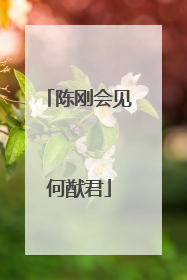 陈刚会见何猷君