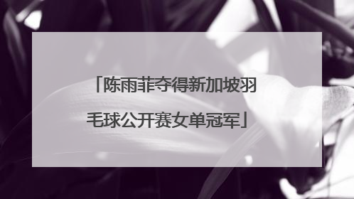陈雨菲夺得新加坡羽毛球公开赛女单冠军
